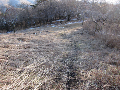 20191129hike (598)